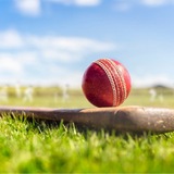 Telegram profile photo for CRICKET_WORLD