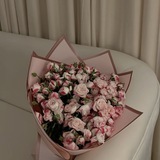 Telegram profile photo for اقتِباسَات أُنثى