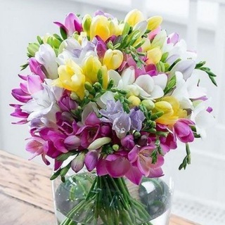 Telegram profile photo for Открытки, поздравления 💐