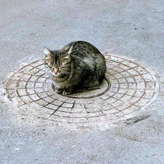 Telegram profile photo for Каналюга