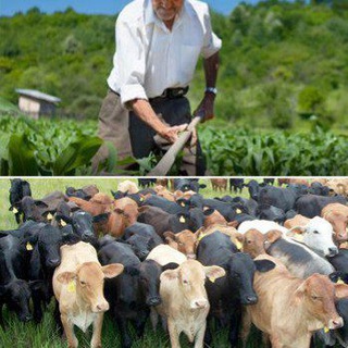 Telegram profile photo for 🇪🇸 Agricultores y Ganaderos en España