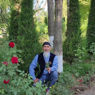 Telegram profile photo for Халк табиби
