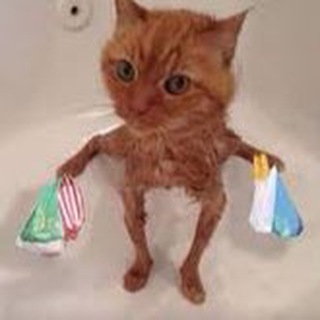 Telegram profile photo for Мемасисики