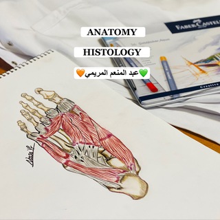 Telegram profile photo for AN | HS | د. عبدالمنعم المريمي