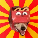 Telegram profile photo for McDonald Dog