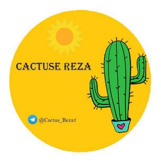 Telegram profile photo for Cactus_reza