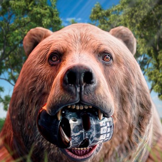 Telegram profile photo for RUST TEDIBIR