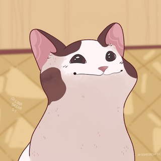 Telegram profile photo for Мемы | Смешные Истории