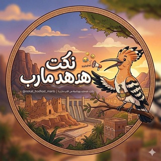 Telegram profile photo for ♡ نكت هد هد مأرب ♡𓅓