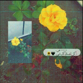 Telegram profile photo for لّــهڤهہ🖤):
