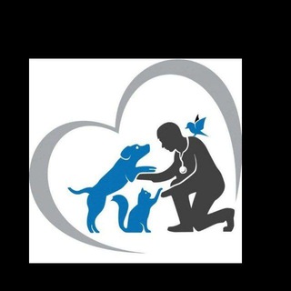 Telegram profile photo for Vetworld