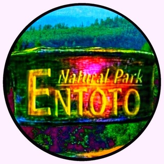 Telegram profile photo for Entoto Natural Park
