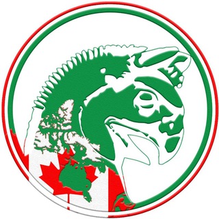 Telegram profile photo for صرافی بهمنی کانادا