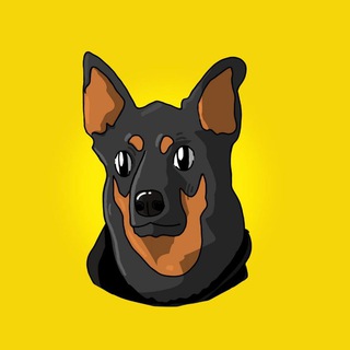Telegram profile photo for $BINU | Broccoli Inu Portal