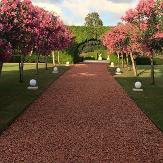 Telegram profile photo for گلشن عشقThe rose garden of love