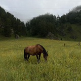 Telegram profile photo for Еее