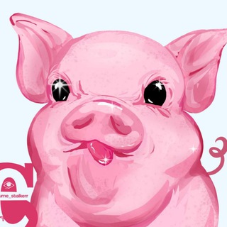 Telegram profile photo for эюурнэ сталкер