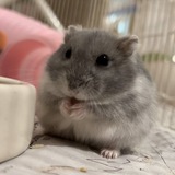 Telegram profile photo for lovely