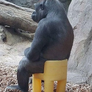 Telegram profile photo for солёные мысли