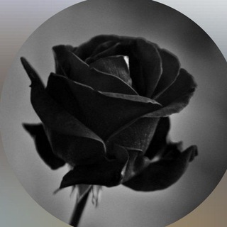 Telegram profile photo for ◦•●◉✿ melantha ✿◉●•◦ ꯭❀𑜞꯭꯭⃝⃕⃔꧂