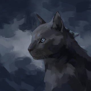 Telegram profile photo for blackshadow_