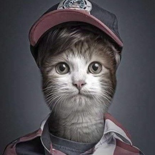 Telegram profile photo for Чуркаларпинт