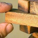Telegram profile photo for مدیریت نفت آلود - مراد احمدی پور