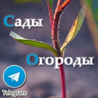 Telegram group profile photo for Сады и Огороды™