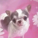 Telegram profile photo for lily art