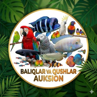 Telegram profile photo for Akvarium baliq va qushlar Auksion gruppasi