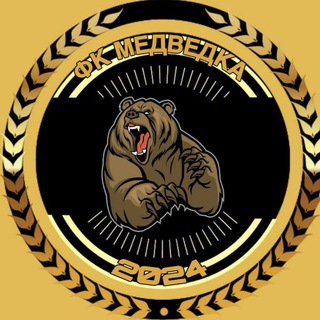 Telegram profile photo for ФК МЕДВЕДКА🐻💪