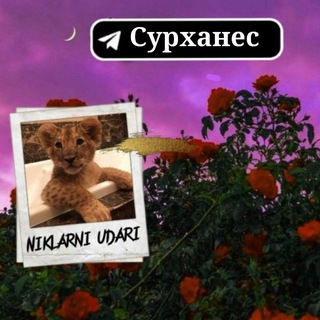 Telegram profile photo for ⚜🌸NIKLARNI🐊UDARI🌿⚜