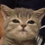 Telegram profile photo for фотограф Полина