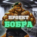 Telegram profile photo for Проект Бобра🦫