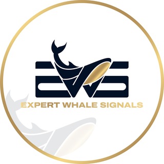 Telegram profile photo for ππππππ πππππ π³ πππππππ