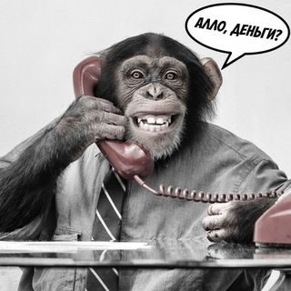 Telegram profile photo for Business&News