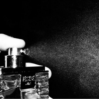 Telegram profile photo for D&T Perfume