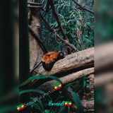 Telegram profile photo for Beautiful Photos ๐ช๐น @AKU