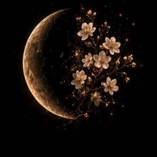 Telegram profile photo for نجوایِ قلم🌒