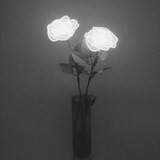 Telegram profile photo for ســـنيوريتآ || Señorita 🐼🌸ء