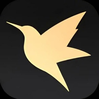 Telegram profile photo for 迅雷云资源—海量软件分享