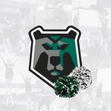 Telegram profile photo for Black Bears_Cheer