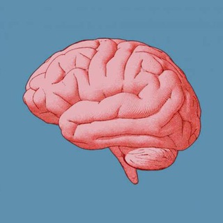 Telegram profile photo for GAT Discussion