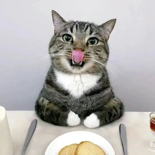 Telegram group profile photo for ВЗАИМНАЯ ПОДПИСКА | УСЛУГИ