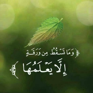 Telegram profile photo for نور المسجد