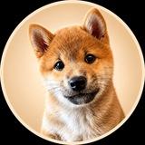 Telegram profile photo for MEEKO OG