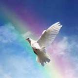 Telegram profile photo for 静观世间百态