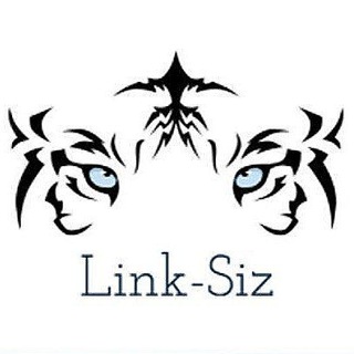 Telegram profile photo for Link-Siz