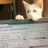Telegram profile photo for ОТЗЫВЫ ЭФФЕКТИВНЫЙ КИТАЙСКИЙ