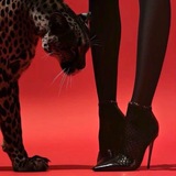 Telegram profile photo for ‘ modish── snappy .. @جيتا 🐆 jeans dominate) classy FaSHioN is emitted by using this style